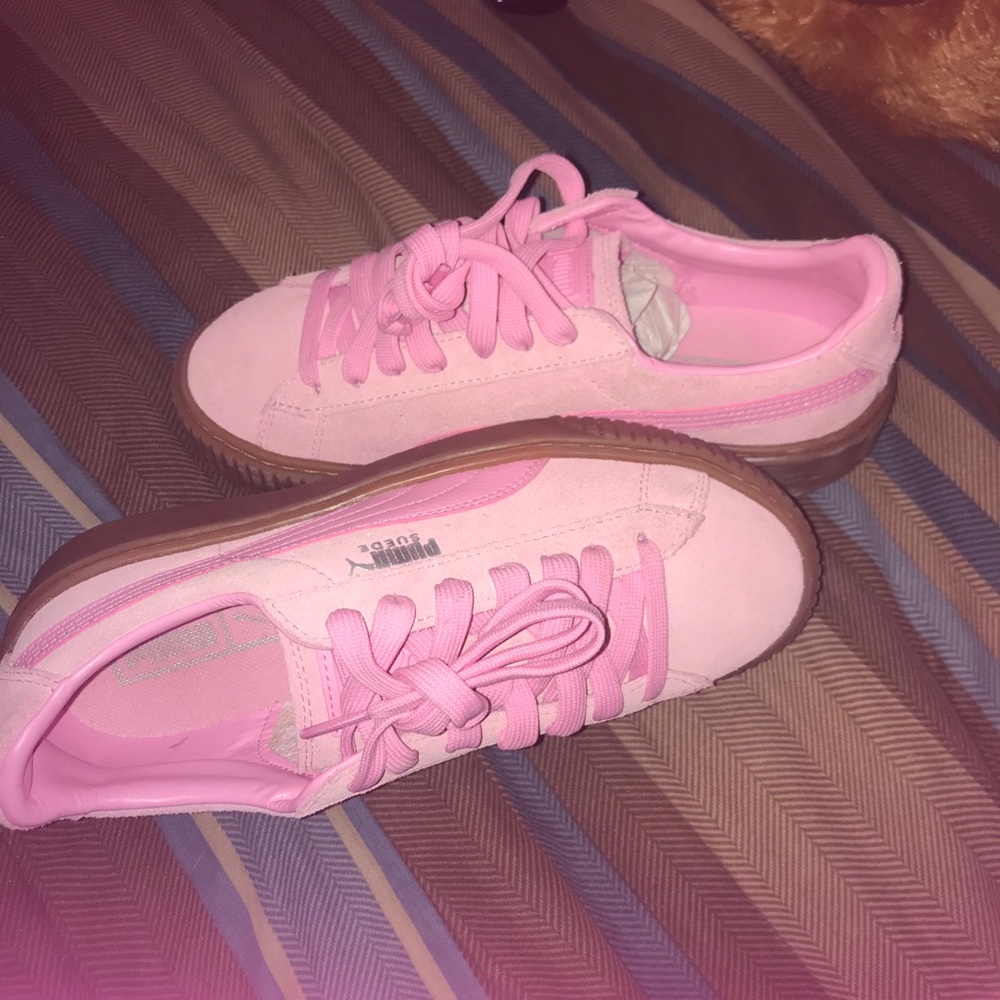 Pumas - Picture 2 of 4